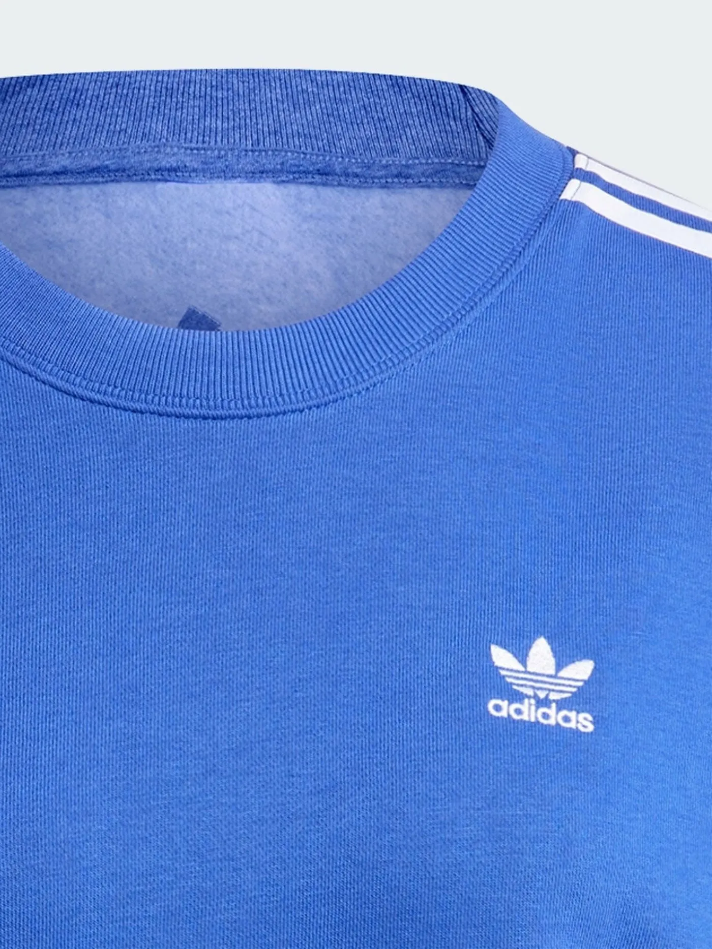 3 Stripes Semi Lucid Blue Crewneck Sweatshirt