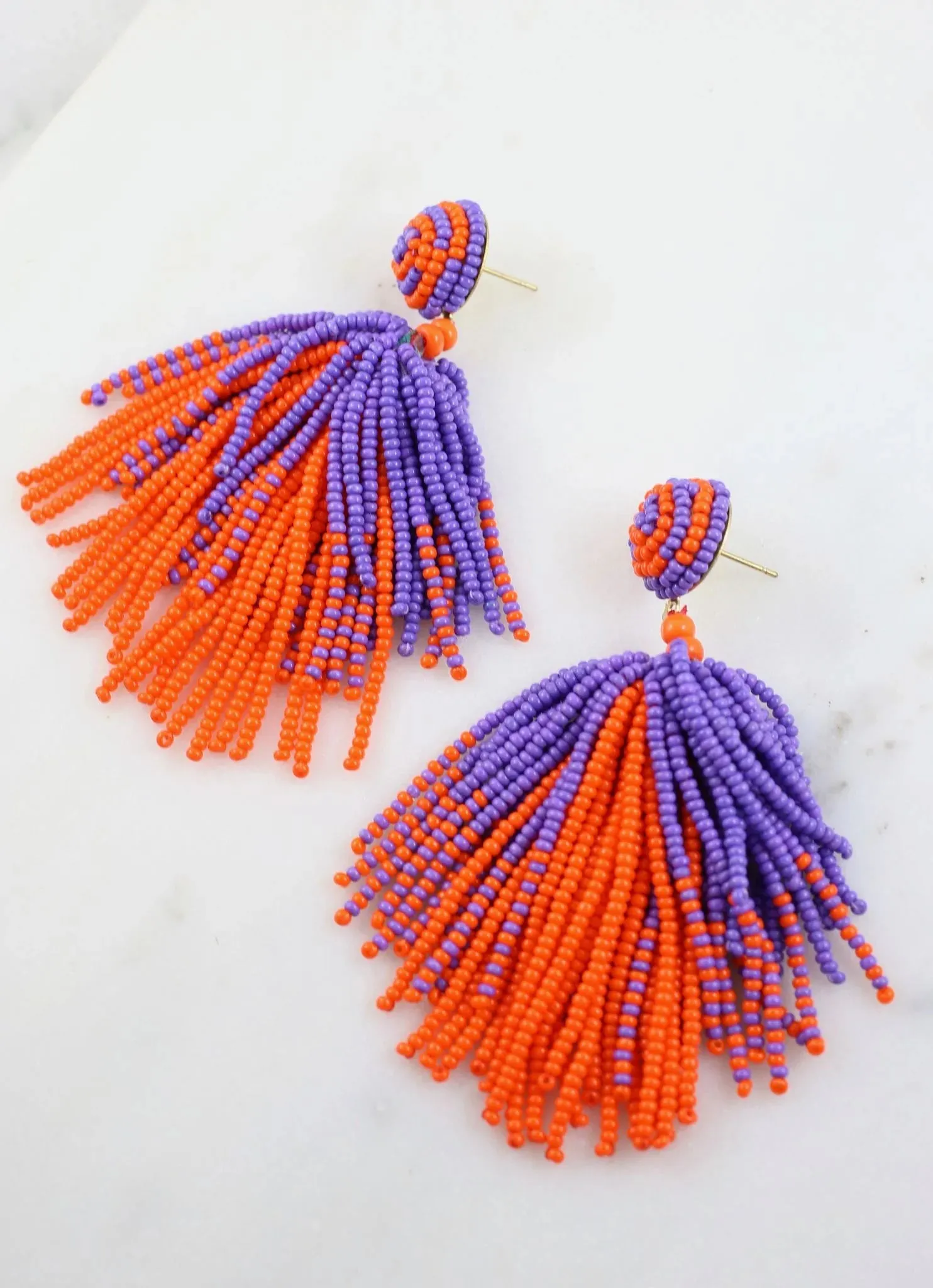 Seed Beaded Tassel Dangle Earrings