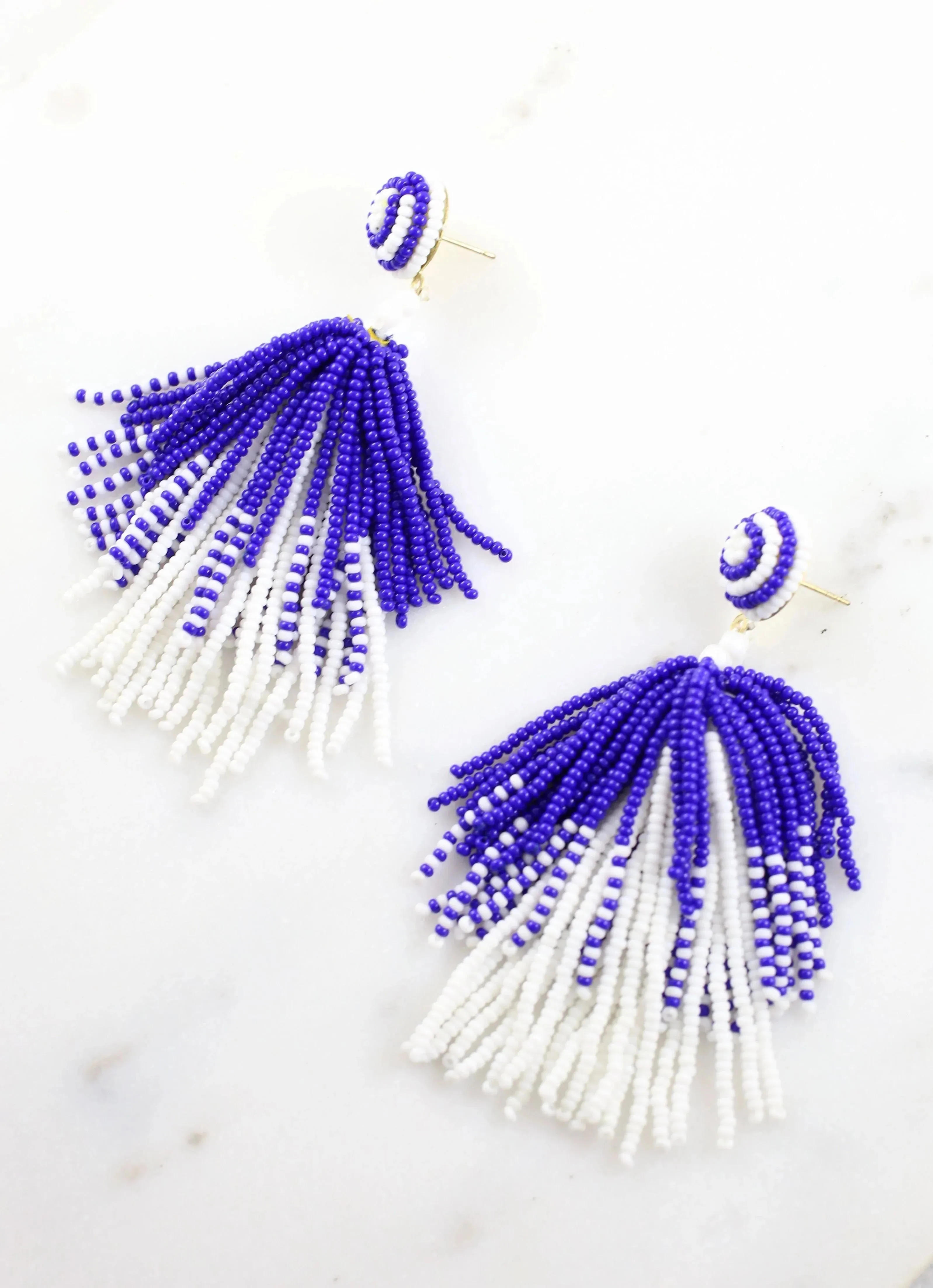 Seed Beaded Tassel Dangle Earrings