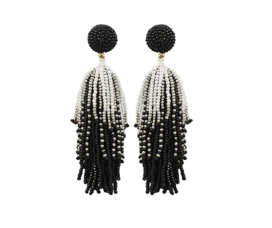 Seed Beaded Tassel Dangle Earrings