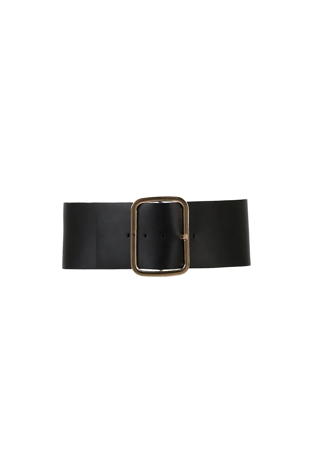 TRELISE COOPER - Waist and See Wide Belt Black